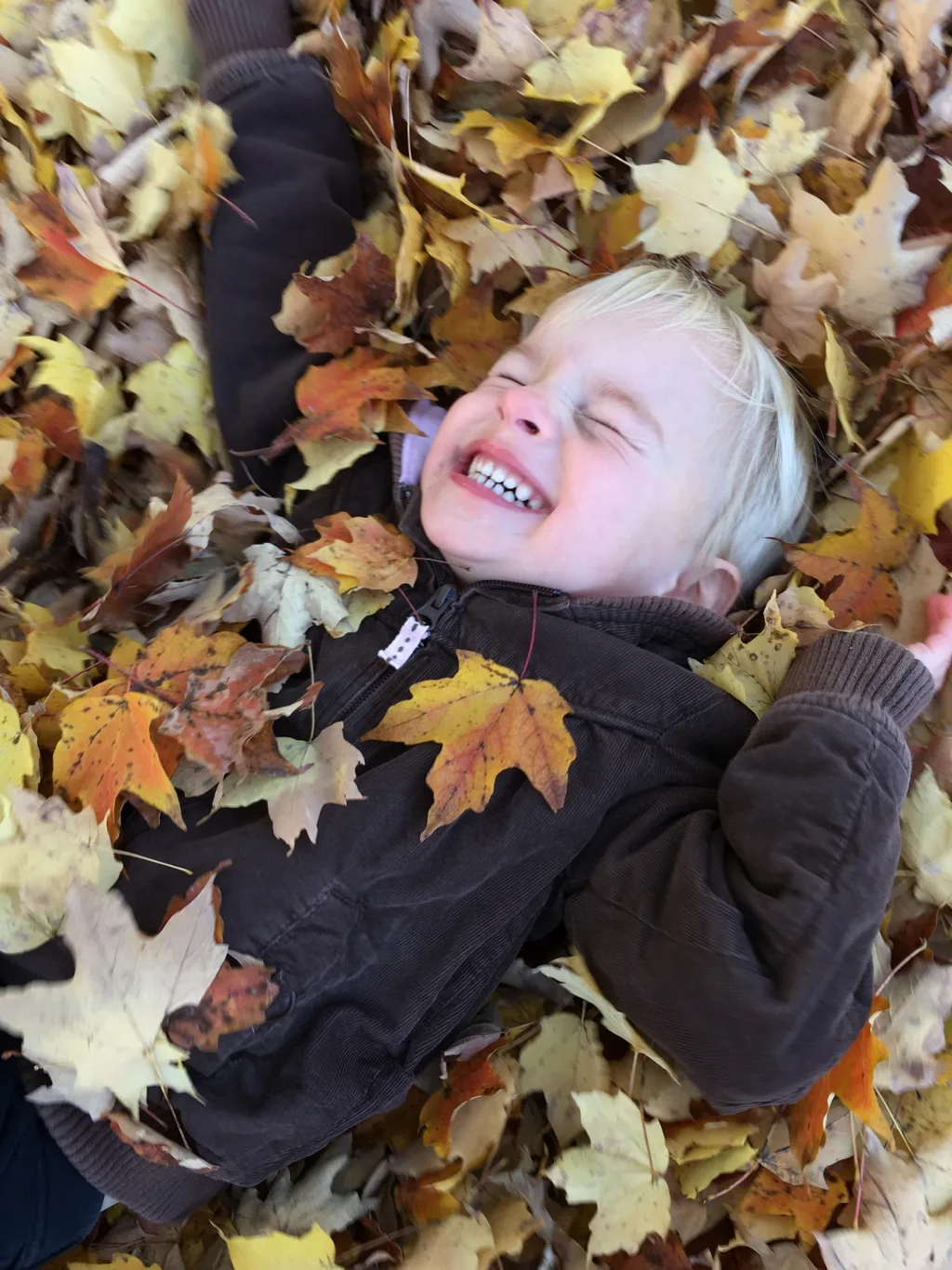Fall leaf fun has finally returned!