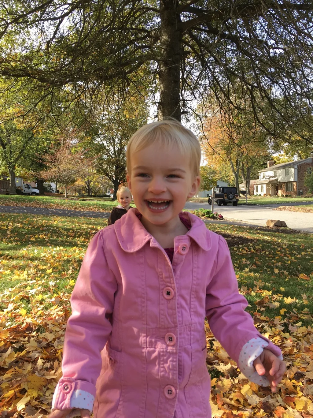 Fall leaf fun has finally returned!