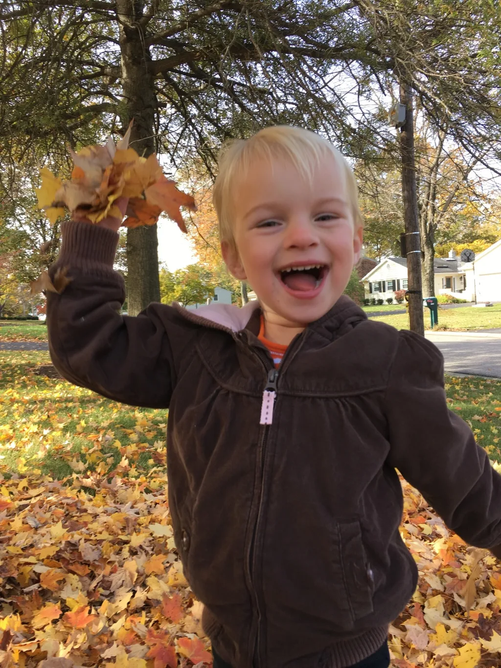 Fall leaf fun has finally returned!