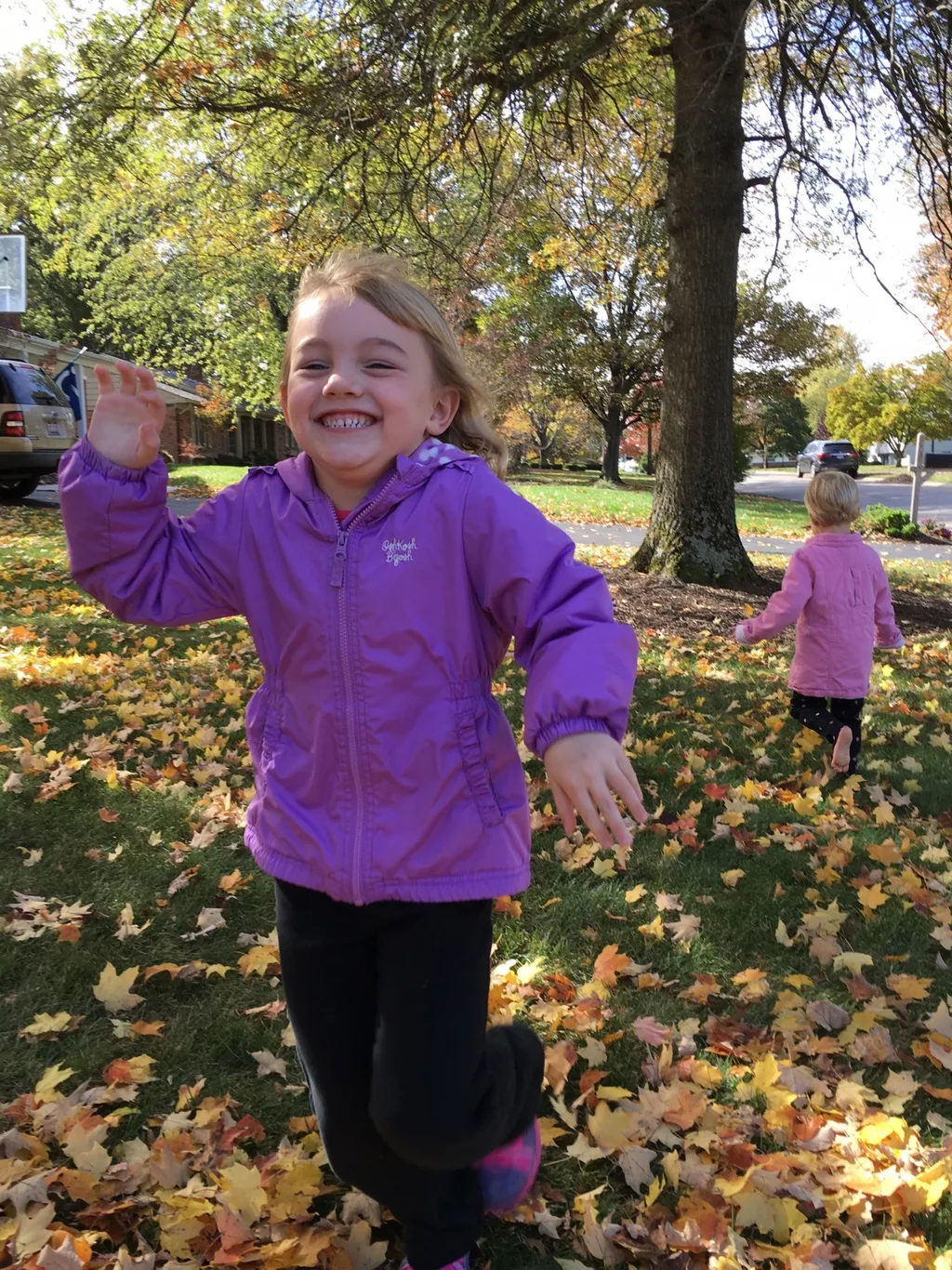 Fall leaf fun has finally returned!