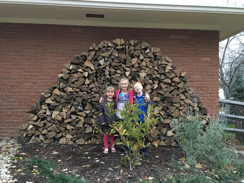 2/3 of a cord. My stacking helpers were awesome and their price was great: two cookies per kid. Is that exploitation?