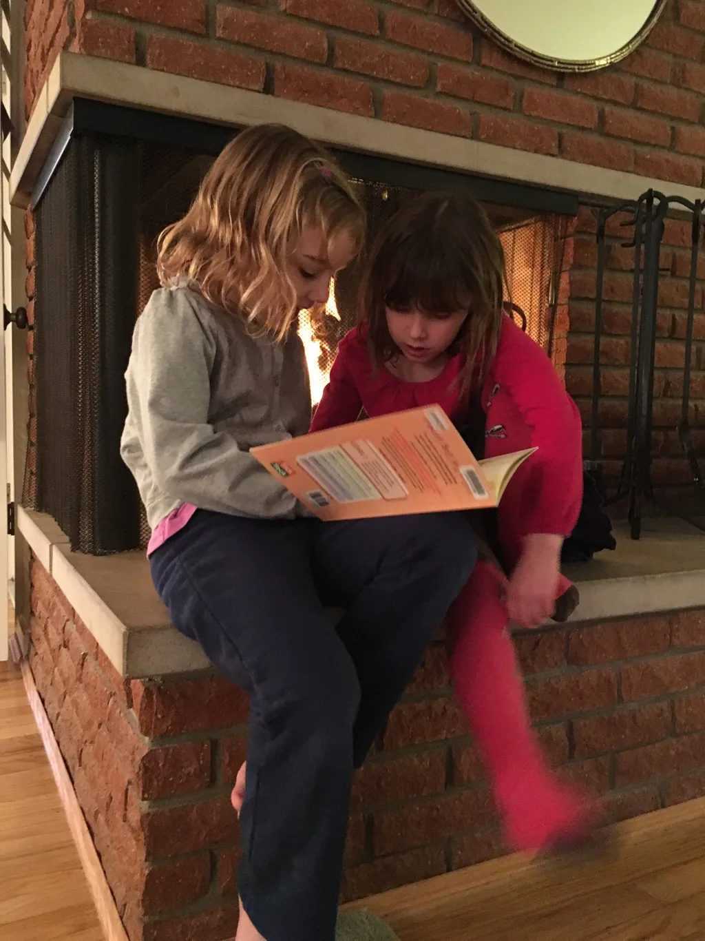 You know you have an excited new reader when she takes time out from playing with friends on Girls Night to read a story to her buddy.