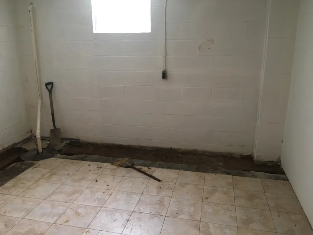 And now the basement project begins.