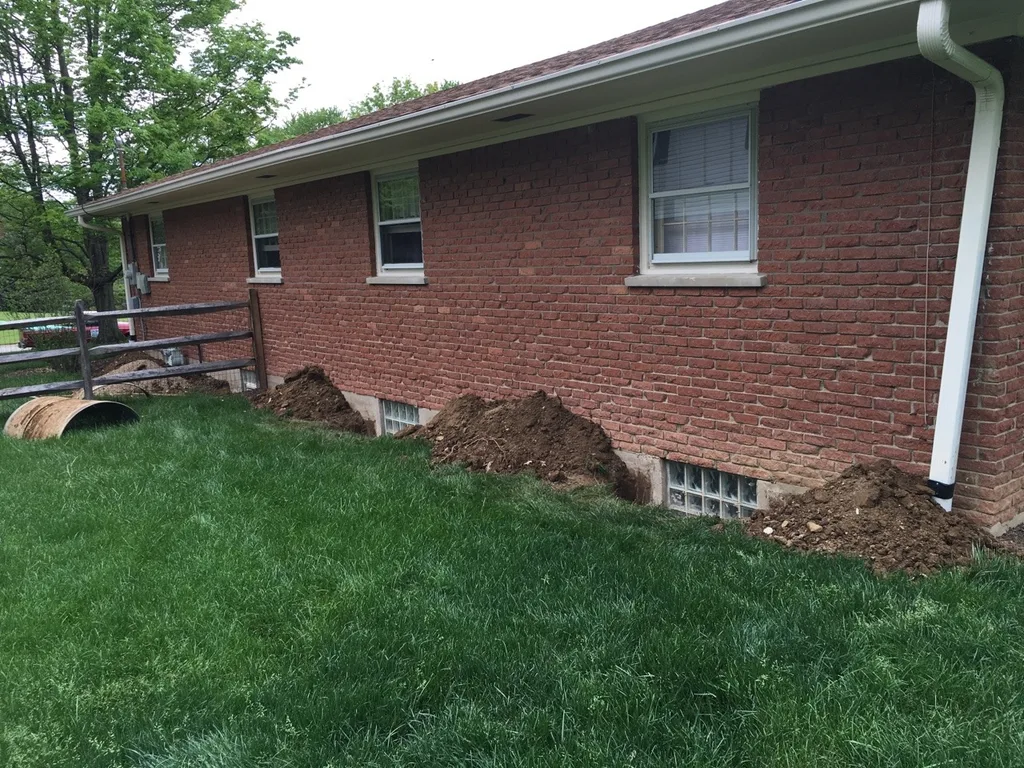 And now the basement project begins.