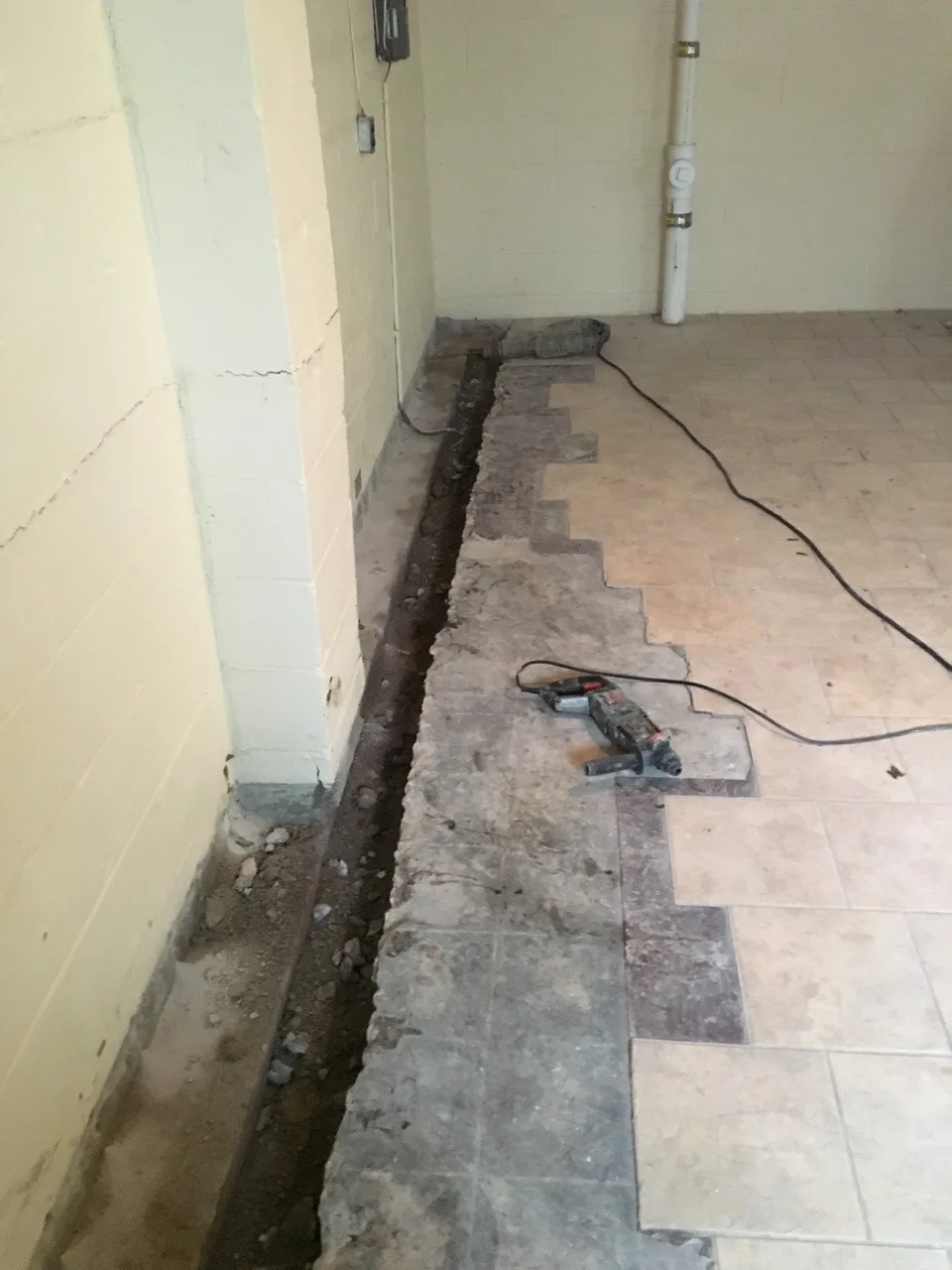 And now the basement project begins.