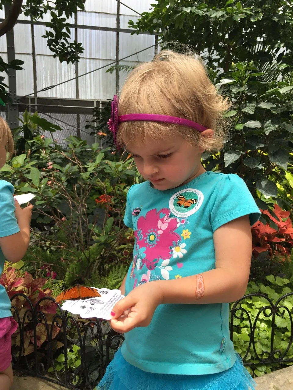 Adventure #2: our visit to the Butterfly Show at Krohn Conservatory. The matching blue shirts were a happy accident. The butterflies seemed to like this color, and they really liked Gwen and Josie’s flower headbands. The girls were often surprised when butterflies landed on them.