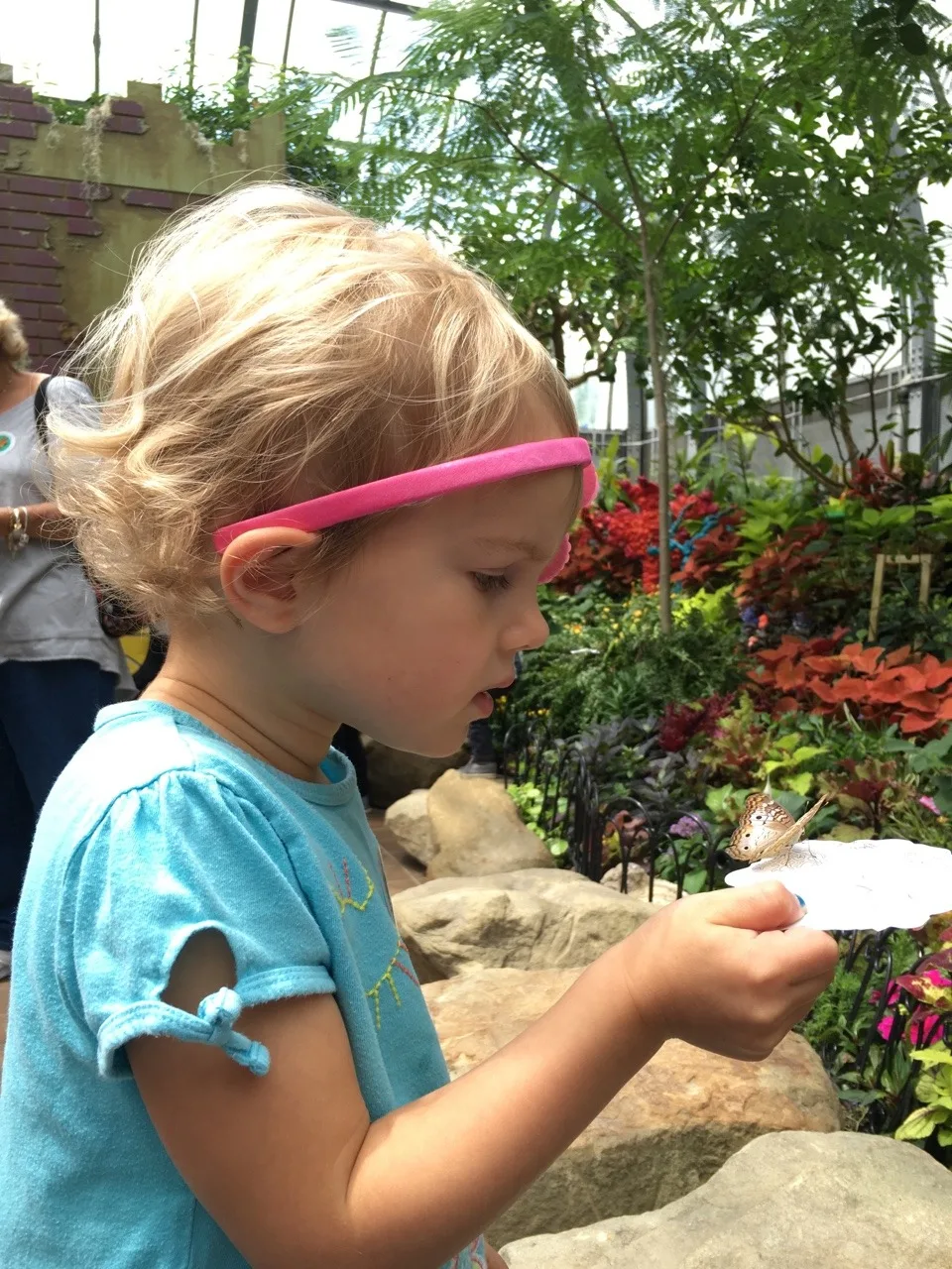 Adventure #2: our visit to the Butterfly Show at Krohn Conservatory. The matching blue shirts were a happy accident. The butterflies seemed to like this color, and they really liked Gwen and Josie’s flower headbands. The girls were often surprised when butterflies landed on them.