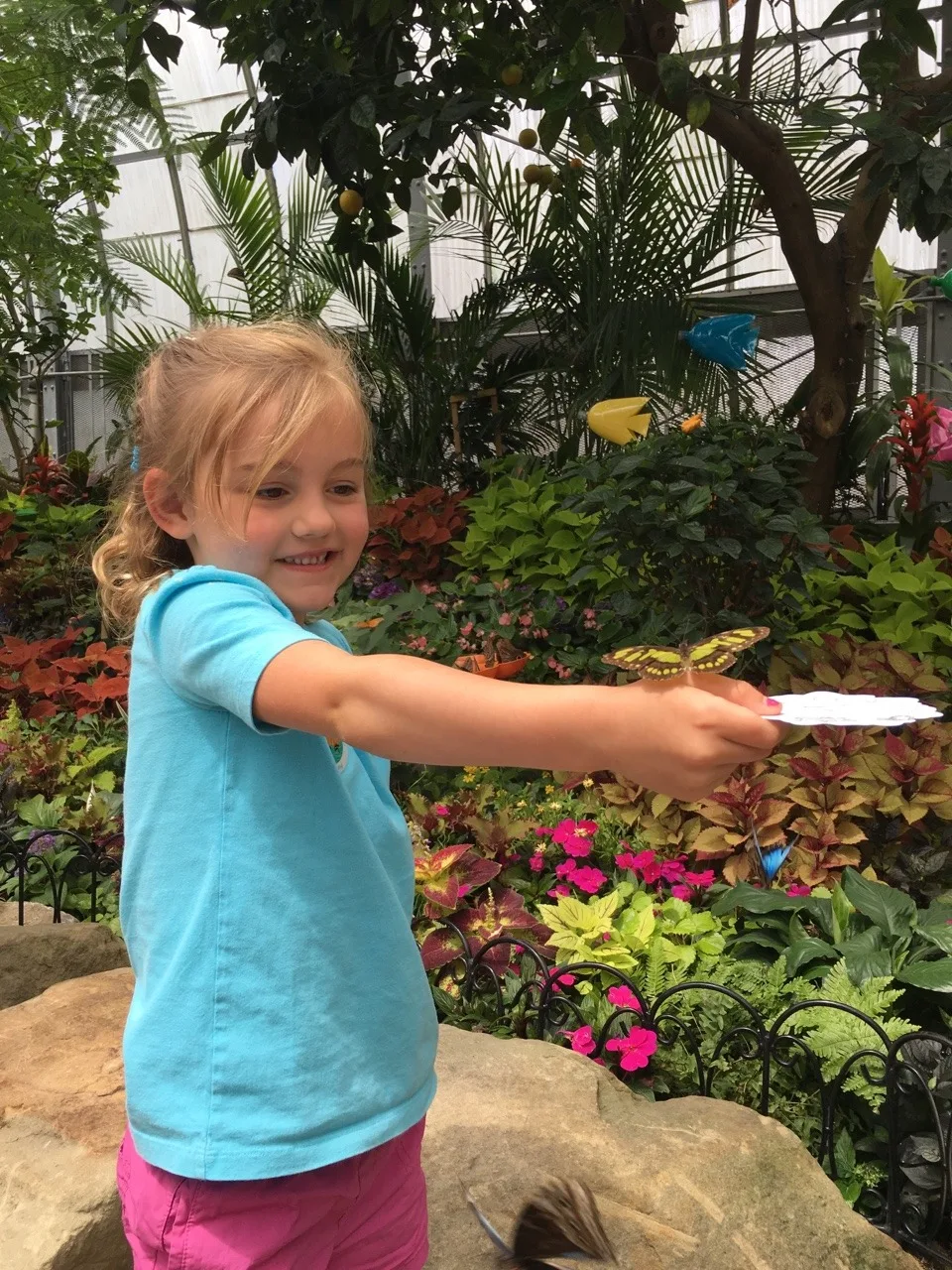 Adventure #2: our visit to the Butterfly Show at Krohn Conservatory. The matching blue shirts were a happy accident. The butterflies seemed to like this color, and they really liked Gwen and Josie’s flower headbands. The girls were often surprised when butterflies landed on them.