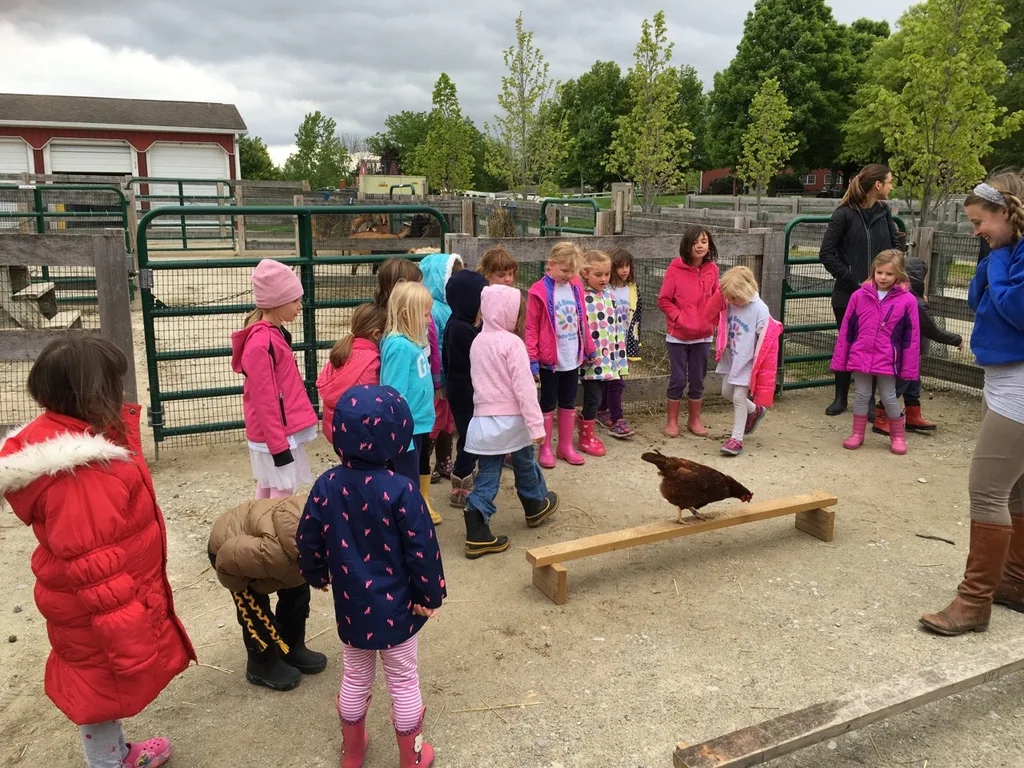 Thanks to our proceeds from the Girl Scout cookie sale, our Daisies (and little siblings) got to enjoy a special program at Parky’s Farm this afternoon. Everyone especially liked petting and holding the baby chickens.