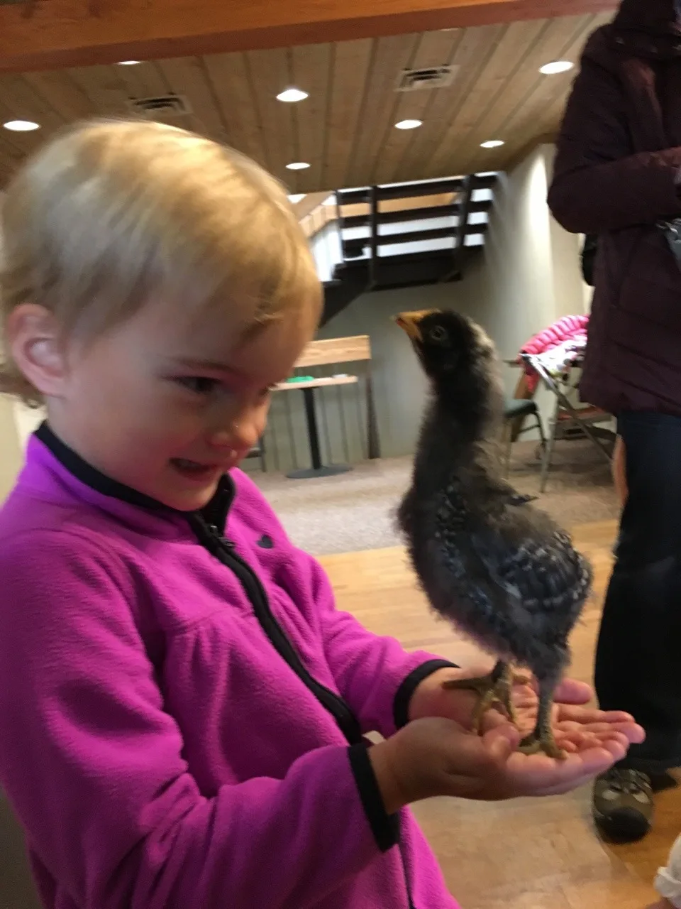 Thanks to our proceeds from the Girl Scout cookie sale, our Daisies (and little siblings) got to enjoy a special program at Parky’s Farm this afternoon. Everyone especially liked petting and holding the baby chickens.