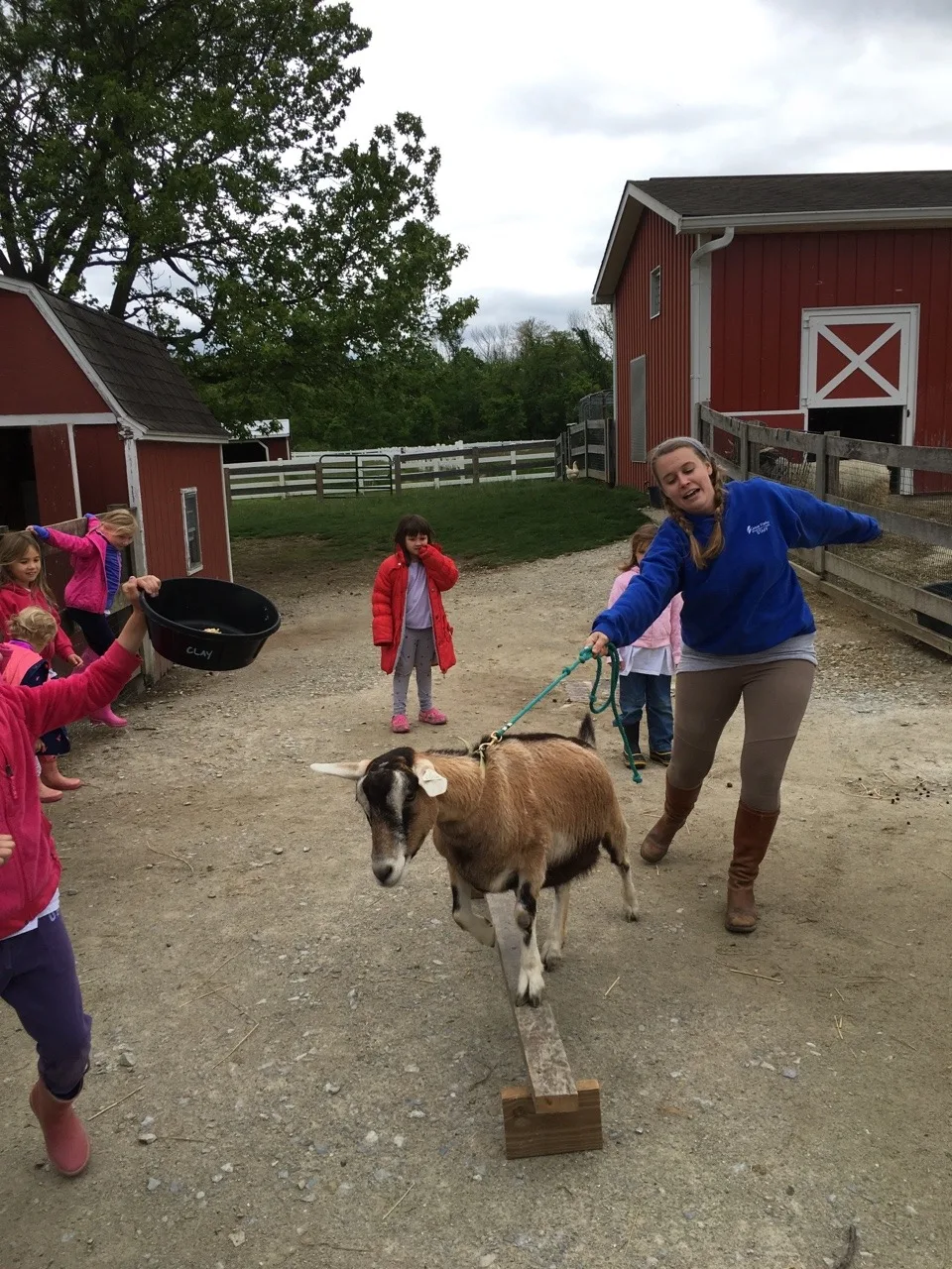 Thanks to our proceeds from the Girl Scout cookie sale, our Daisies (and little siblings) got to enjoy a special program at Parky’s Farm this afternoon. Everyone especially liked petting and holding the baby chickens.