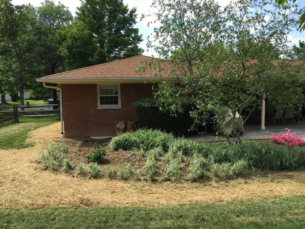 The big first steps for the new garden bed are complete! It’s definitely still a work in progress, but the area is already so much better. No more standing water! I replanted all of the Japanese forest grass, and added a lovely snowball viburnum. We still need rocks, mulch, lilies, and for the horrible smell of decomposing grass to go away!