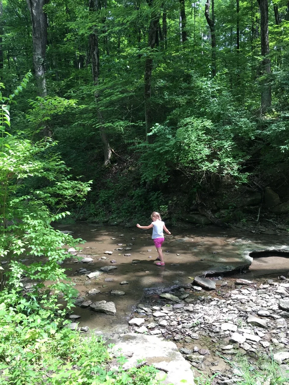 We spent our first Mama and Abby day of the summer riding bikes at Sharon Woods, and hiking at both Whitacre Park and French Park! Our first bike ride together outside of our neighborhood was fun, but not as much fun (for Abby) as walking in the creek. Abby delighted in skipping along the creek rocks at French Park.