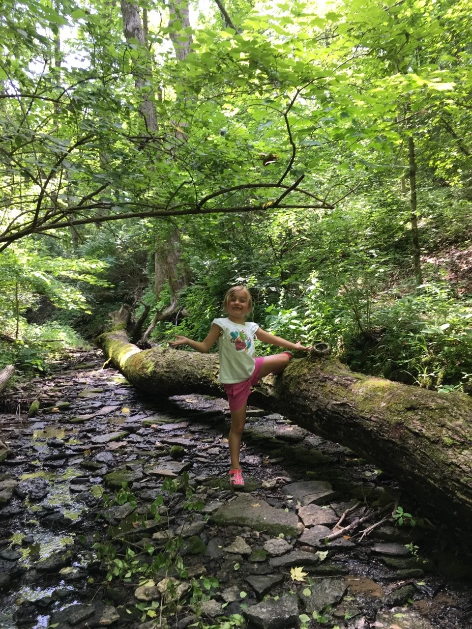 We spent our first Mama and Abby day of the summer riding bikes at Sharon Woods, and hiking at both Whitacre Park and French Park! Our first bike ride together outside of our neighborhood was fun, but not as much fun (for Abby) as walking in the creek. Abby delighted in skipping along the creek rocks at French Park.