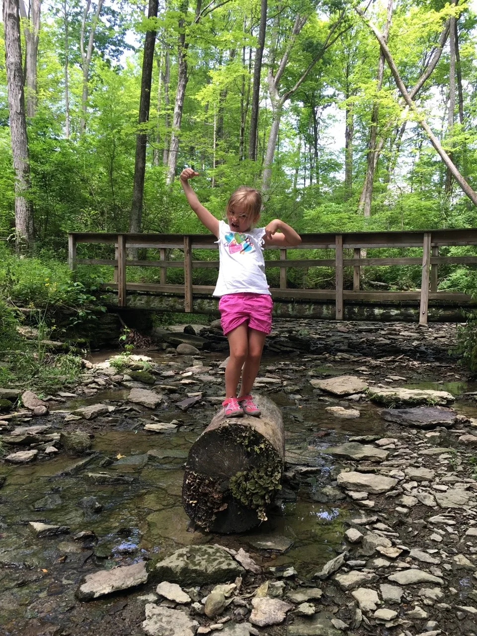 We spent our first Mama and Abby day of the summer riding bikes at Sharon Woods, and hiking at both Whitacre Park and French Park! Our first bike ride together outside of our neighborhood was fun, but not as much fun (for Abby) as walking in the creek. Abby delighted in skipping along the creek rocks at French Park.