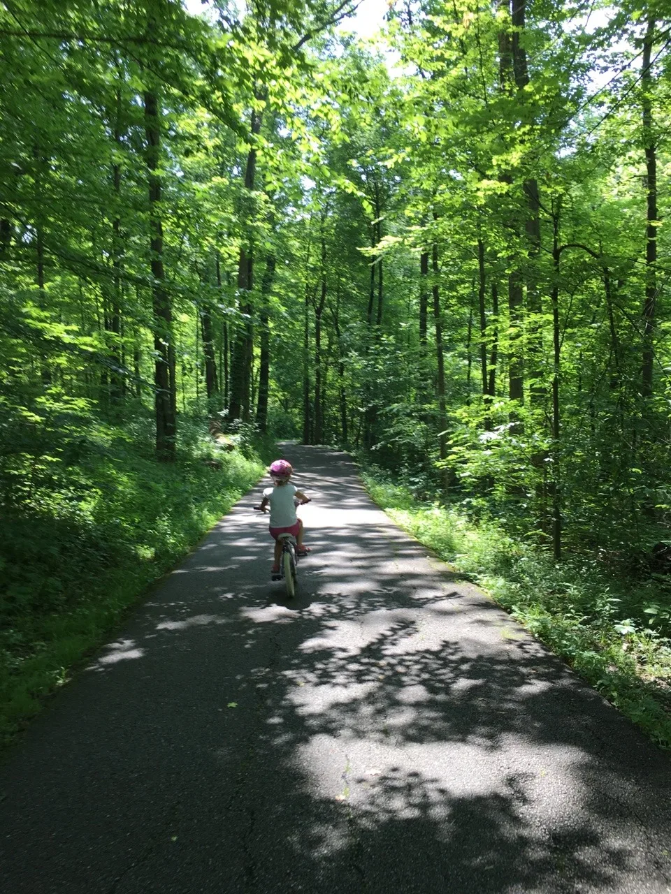 We spent our first Mama and Abby day of the summer riding bikes at Sharon Woods, and hiking at both Whitacre Park and French Park! Our first bike ride together outside of our neighborhood was fun, but not as much fun (for Abby) as walking in the creek. Abby delighted in skipping along the creek rocks at French Park.