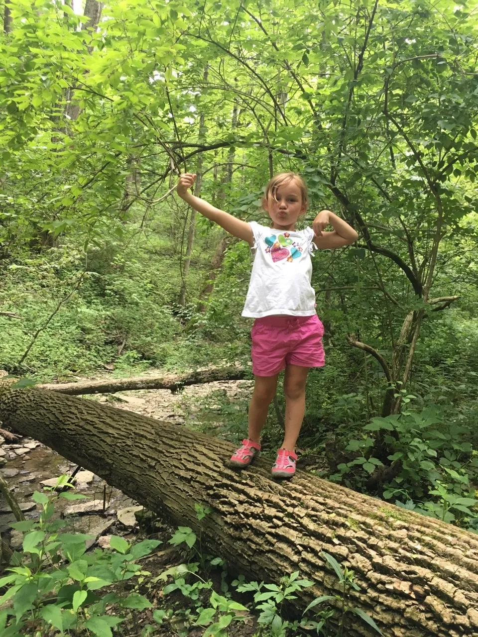 We spent our first Mama and Abby day of the summer riding bikes at Sharon Woods, and hiking at both Whitacre Park and French Park! Our first bike ride together outside of our neighborhood was fun, but not as much fun (for Abby) as walking in the creek. Abby delighted in skipping along the creek rocks at French Park.