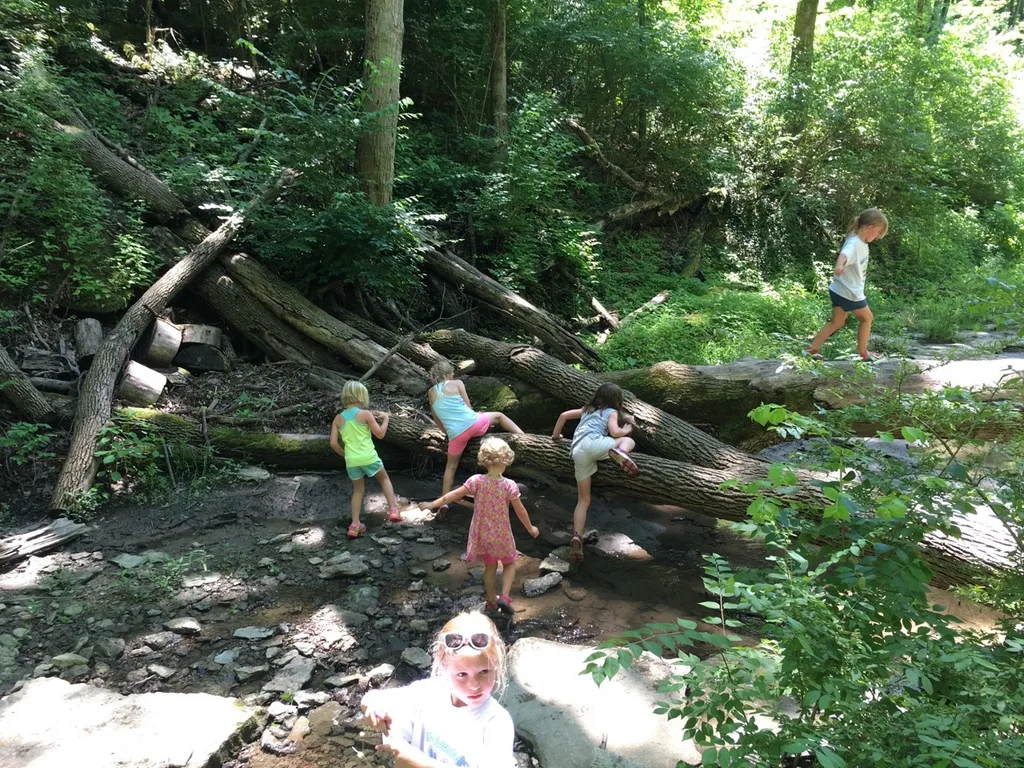 I am so proud of these Daisy Girl Scouts (and sisters)! They all did such a great job hiking and creeking today at French Park! And, they had a really good time too!