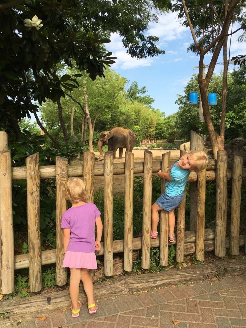 After dropping Abby off at camp this morning, we had our own full day of fun at the zoo! The highlight for me (proud mama moment?) was watching Josie AND Gwen participate in Blakely’s Barnyard Bonanza (aka the goat show).