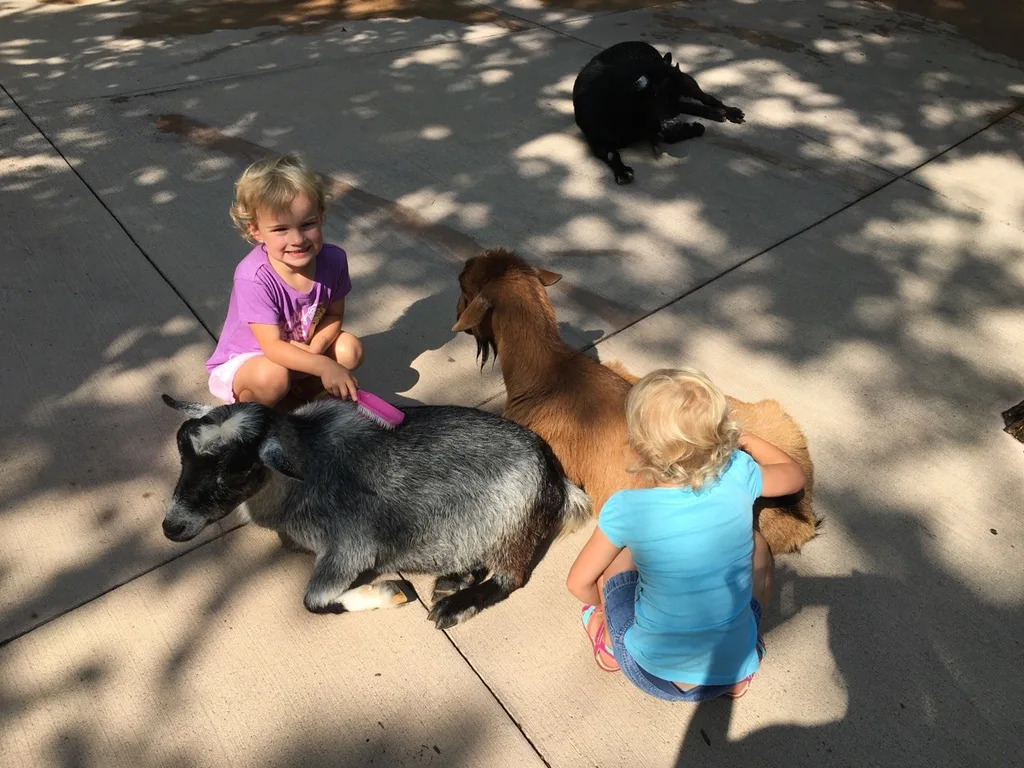 After dropping Abby off at camp this morning, we had our own full day of fun at the zoo! The highlight for me (proud mama moment?) was watching Josie AND Gwen participate in Blakely’s Barnyard Bonanza (aka the goat show).