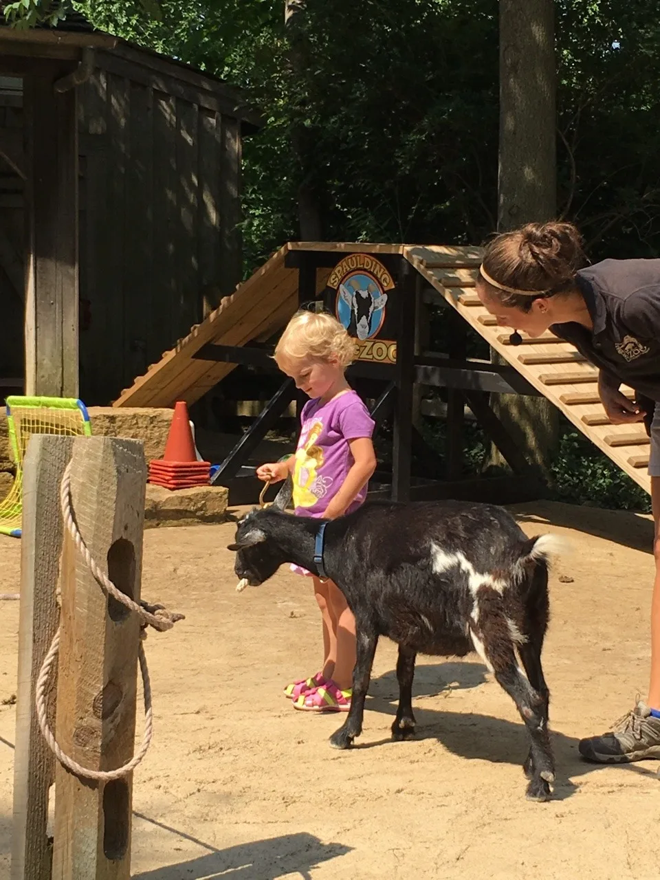 After dropping Abby off at camp this morning, we had our own full day of fun at the zoo! The highlight for me (proud mama moment?) was watching Josie AND Gwen participate in Blakely’s Barnyard Bonanza (aka the goat show).