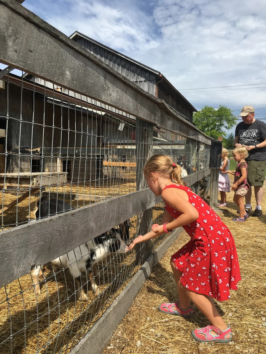 The girls hoped to pick blueberries, but had to settle for bouncing and goat feeding at Hidden Valley Fruit Farm.
