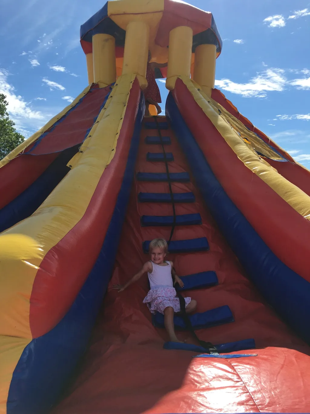 The girls hoped to pick blueberries, but had to settle for bouncing and goat feeding at Hidden Valley Fruit Farm.