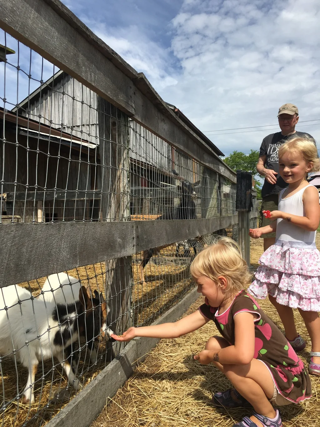 The girls hoped to pick blueberries, but had to settle for bouncing and goat feeding at Hidden Valley Fruit Farm.
