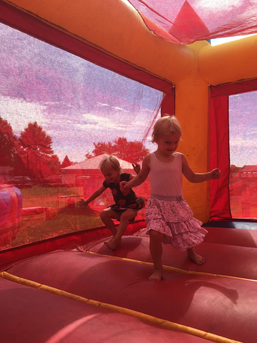 The girls hoped to pick blueberries, but had to settle for bouncing and goat feeding at Hidden Valley Fruit Farm.