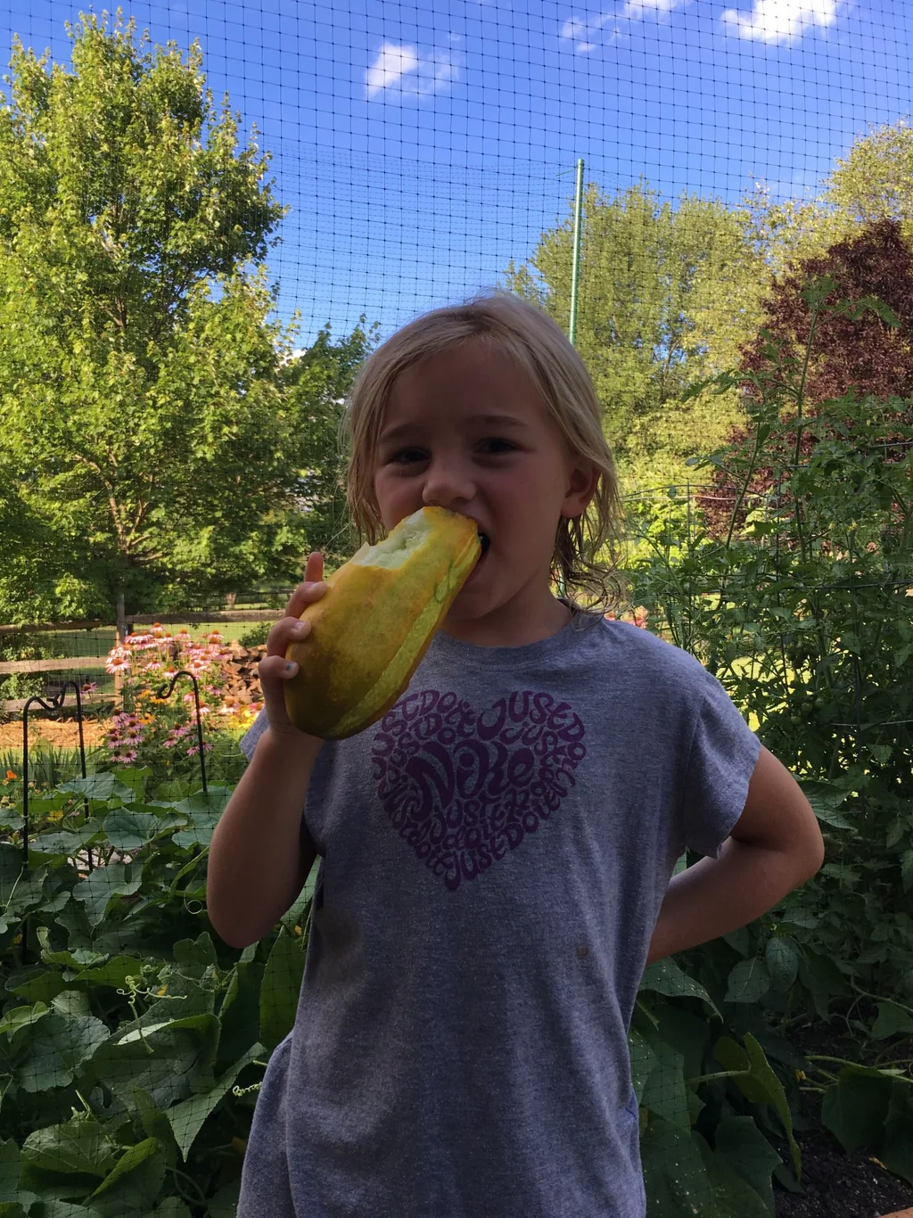 This is what a cucumber looks like when it escapes detection. Surprisingly still delicious!