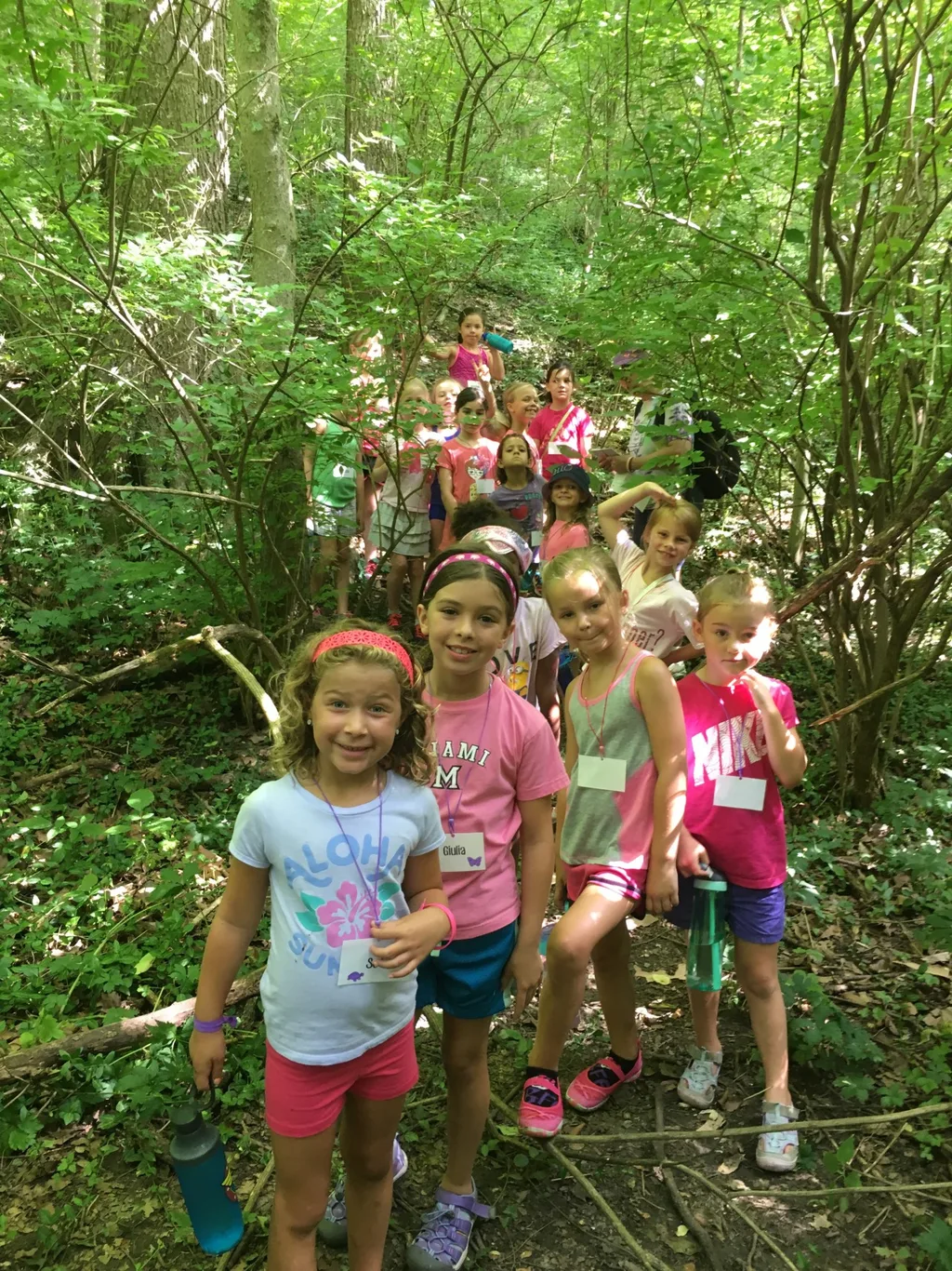 Our first two days of Girl Scout camp at French Park were super fun! The girls hiked, tie-dyed t-shirts, played games like “drip drip drench,” made wind chimes, painted, sent PAs to “jail,” and more. Three more days to go – and tomorrow Gwen and Josie get to join the fun!