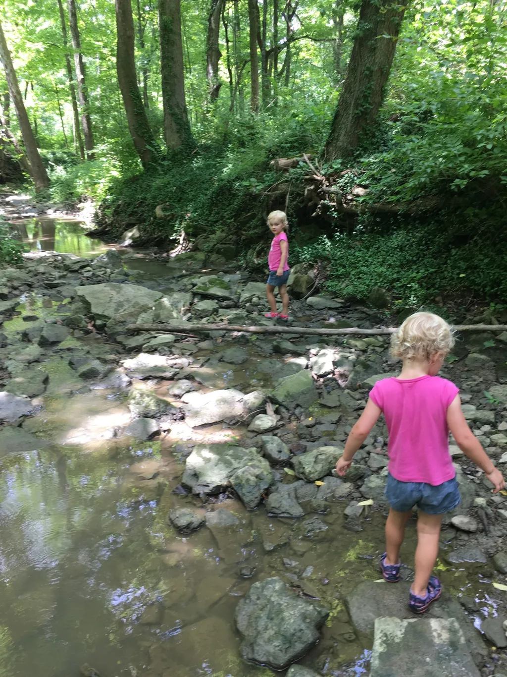 Gwen and Josie joined the other pixies at Girl Scout camp today.