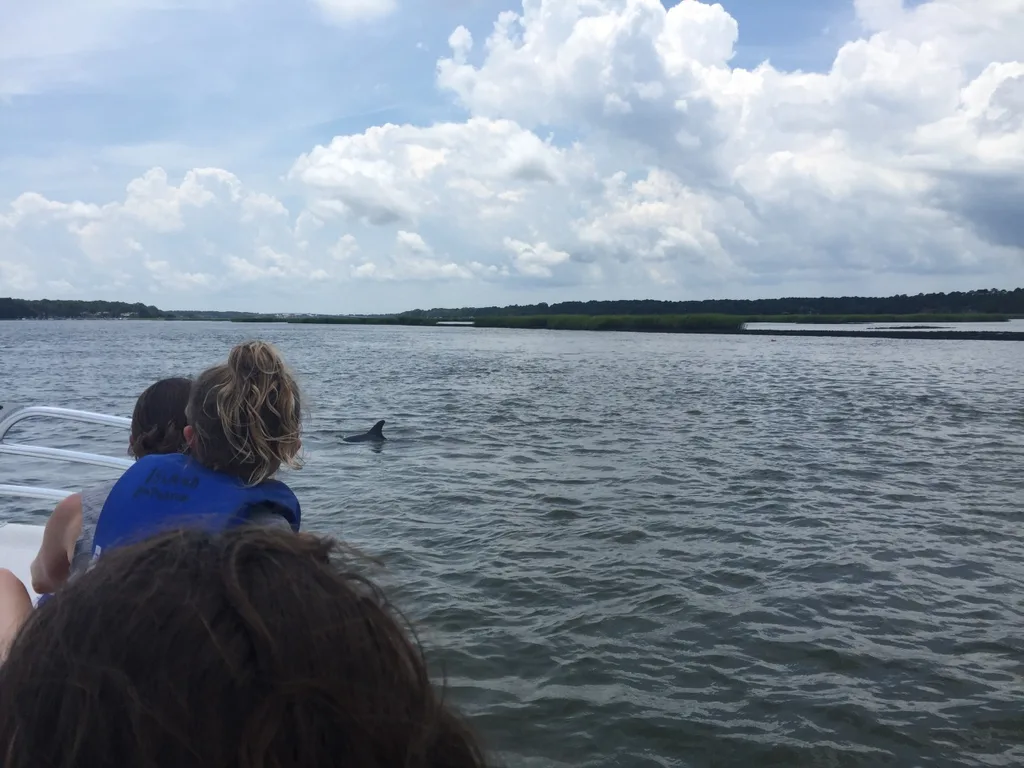 Vacation day 5: Dolphins and sharks were the highlights of our day! Mom and Tim joined us for a wonderful dolphin tour, and a surprise evacuation from the water at Coligny beach due to sharks!