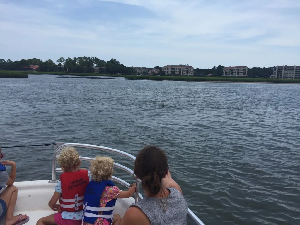 Vacation day 5: Dolphins and sharks were the highlights of our day! Mom and Tim joined us for a wonderful dolphin tour, and a surprise evacuation from the water at Coligny beach due to sharks!