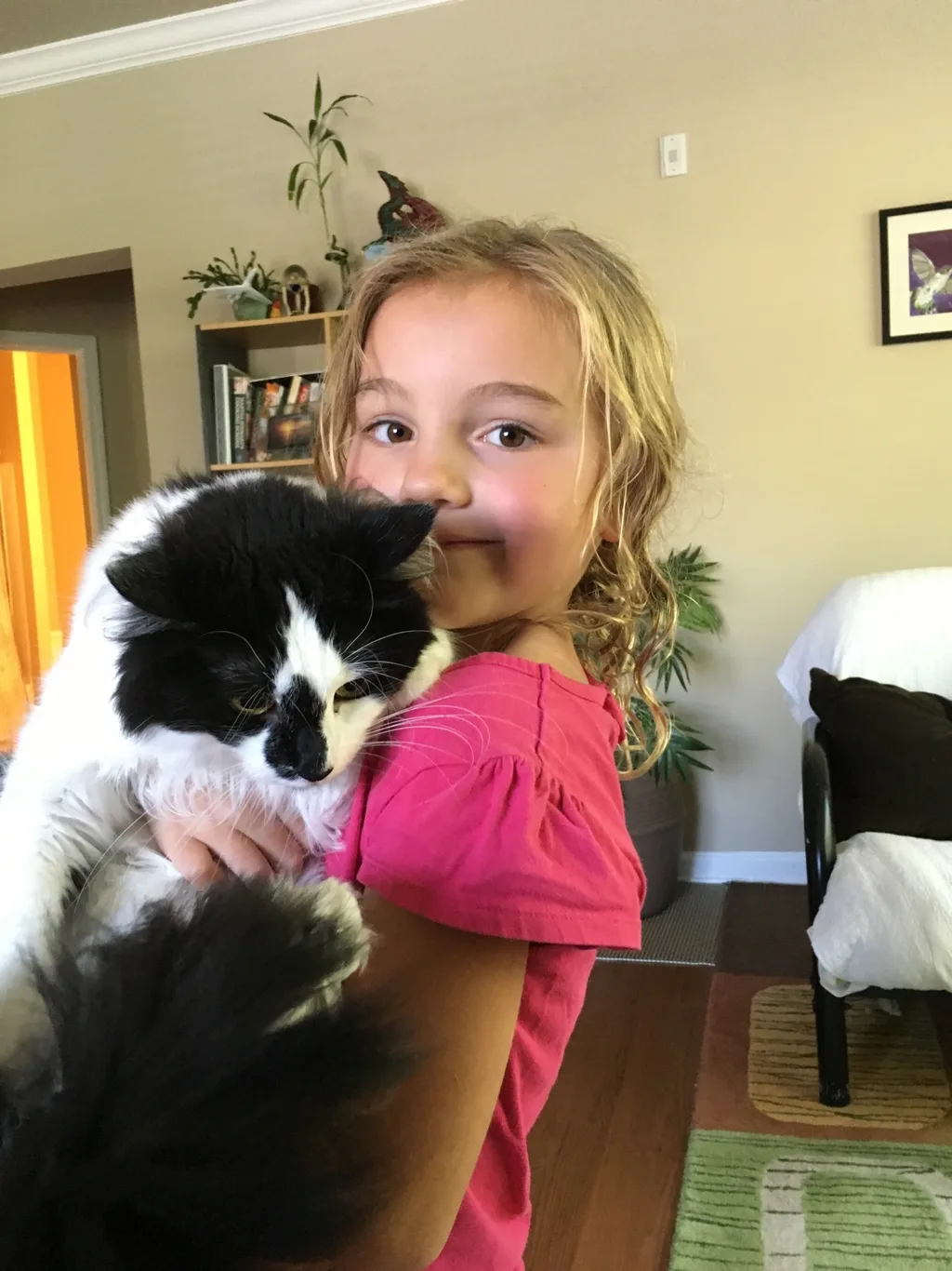 Vacation day 6: We swam, said our good-byes to Auntie Em and kitties, drove back to Asheville, swam some more, and started to feel ready to soon be home again.