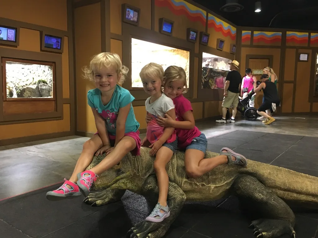 Vacation day 7: Instead of just driving straight home, we decided to use our reciprocal zoo benefits and visit the Knoxville Zoo.