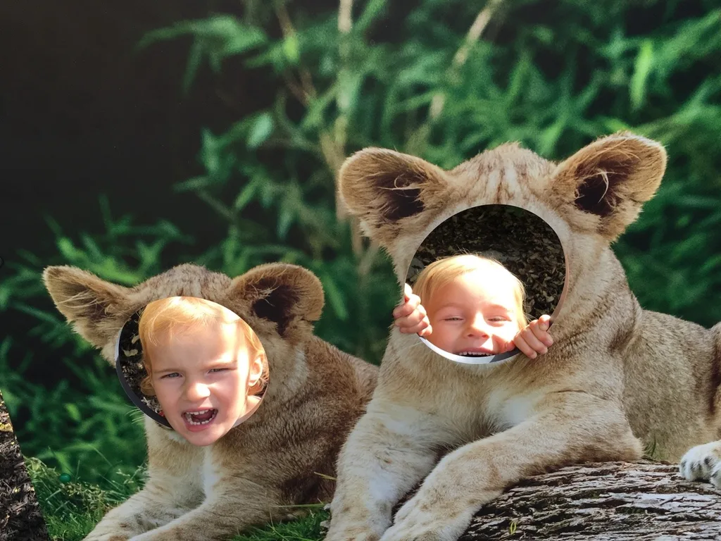 Our first trip to the zoo with Timmy!