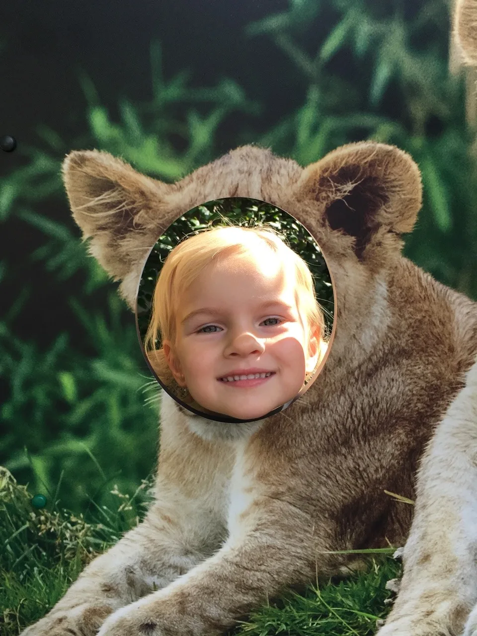 Our first trip to the zoo with Timmy!