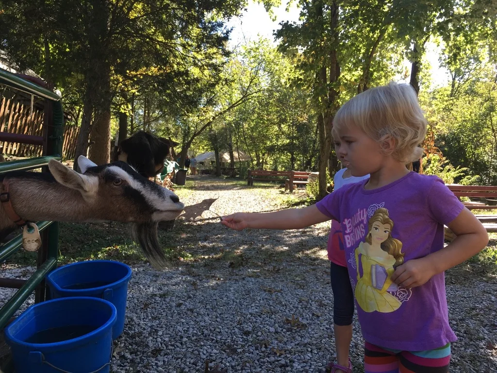 What a fun day with friends at Sunrock Farm! The girls got to take a hayride to a pumpkin patch, milk a goat, hold a baby chick, feed goats, gather eggs, pet a donkey, a miniature horse, a cow, a farm kitty, and more!