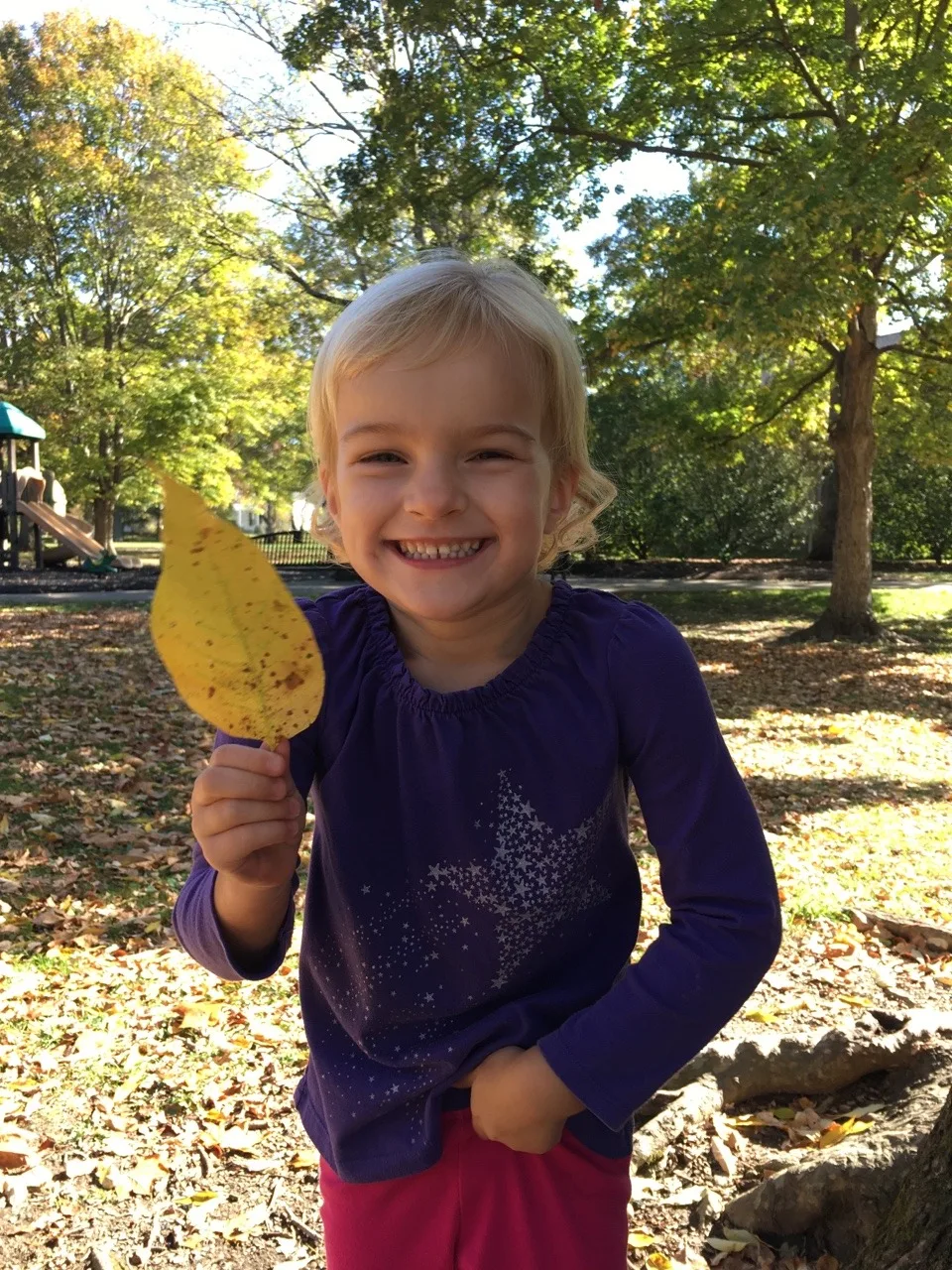 These girls loved posing for pictures at the beautiful Sharon Woods today. Next time, I’ll bring a better camera!
