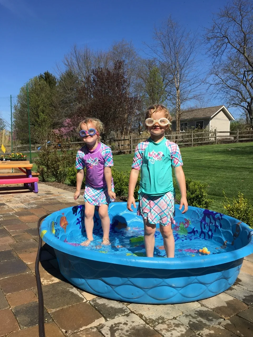 It must be time for Mel and Ron to get their pool ready! These girls thought today was a great day to swim.