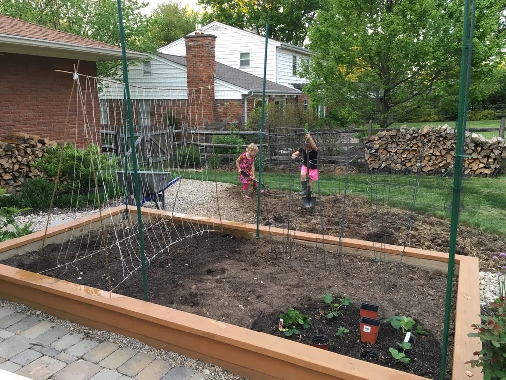 Grow little seeds! Grow! So far, we’ve planted snap peas, lettuce, and strawberries!