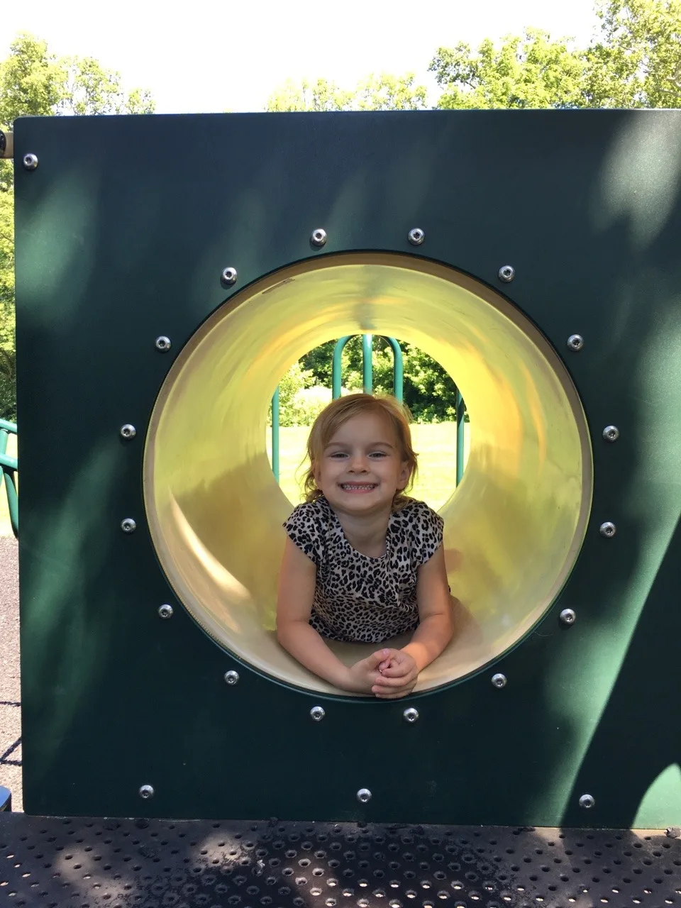 Girl date #1: This summer, two girls get to spend their Thursday with Grandma and Grandpa Moose while one girl goes on an adventure with me. Gwen and I spent the morning hiking at Sharon Woods while Abby and Josie had fun with their grandparents at the Zoo.