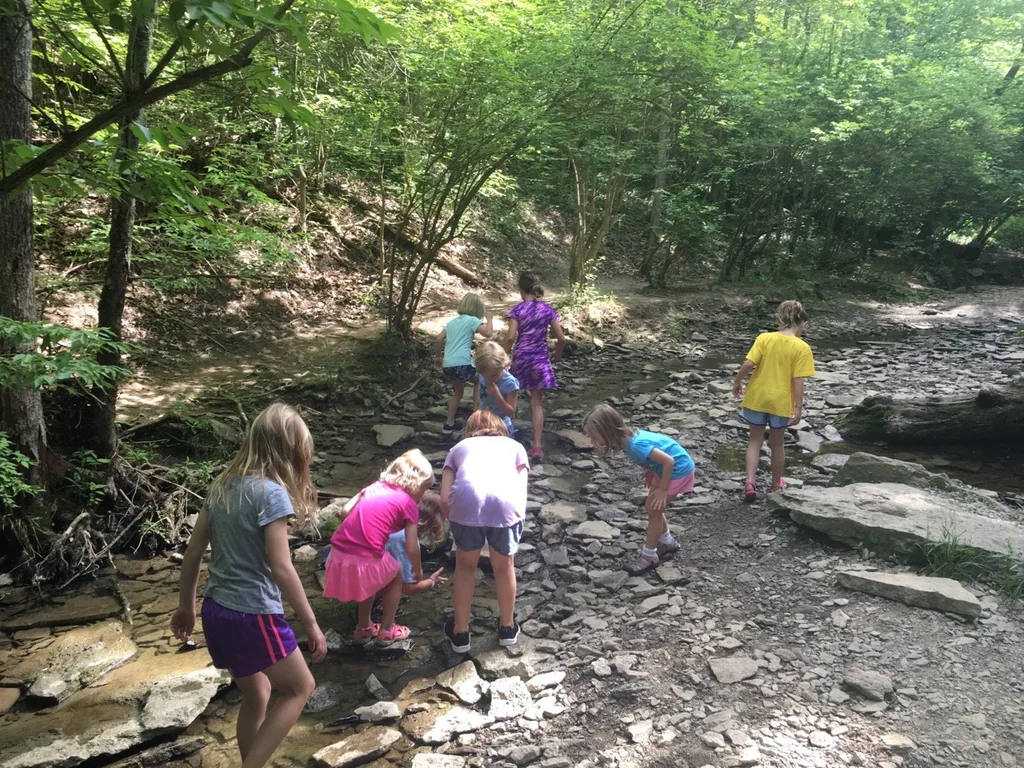 We took an almost two mile hike with some of our Girl Scout friends at French Park today. Afterwards we enjoyed a picnic lunch and the girls cooled off by playing drip drip drench.