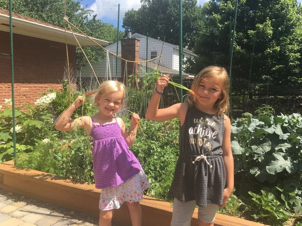 Broccoli! Snap peas! Lettuce! Carrots! (And strawberries, but they ate those before I could take a picture.)