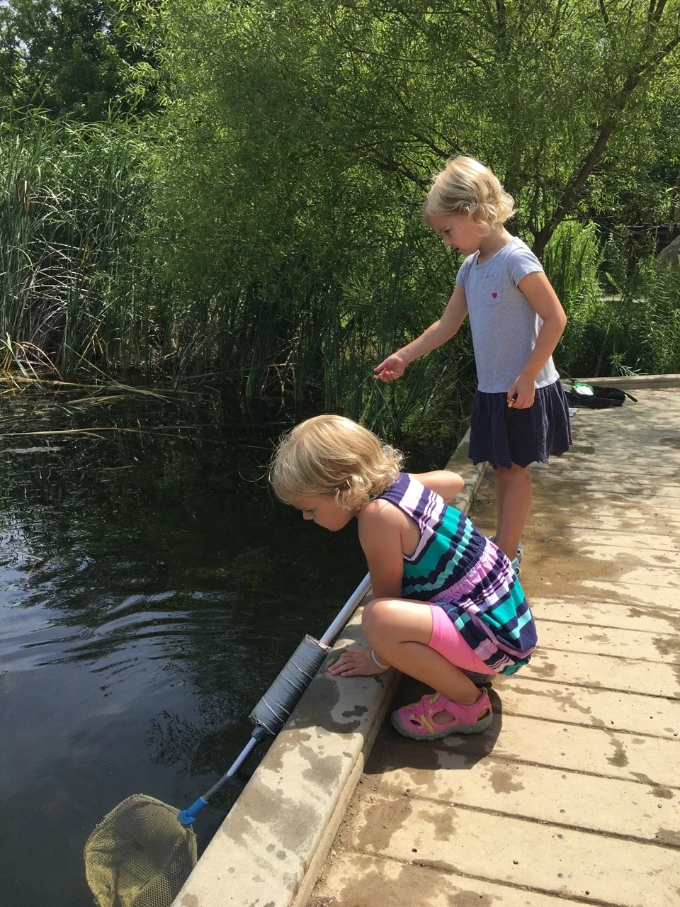 While Abby had lots of fun with her friends at Girl Scout camp, Gwen, Josie, and I had our own outdoor adventure at the Cincinnati Nature Center. They even got to hold some tadpoles and fish thanks to the netting skills of some nice big girls.