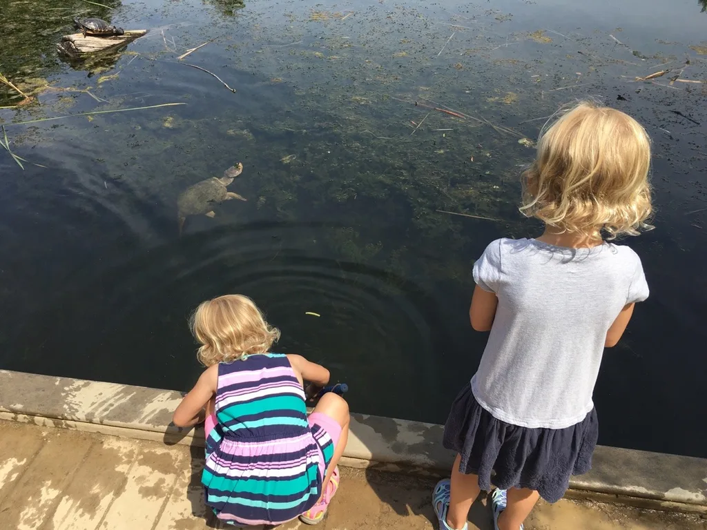 While Abby had lots of fun with her friends at Girl Scout camp, Gwen, Josie, and I had our own outdoor adventure at the Cincinnati Nature Center. They even got to hold some tadpoles and fish thanks to the netting skills of some nice big girls.