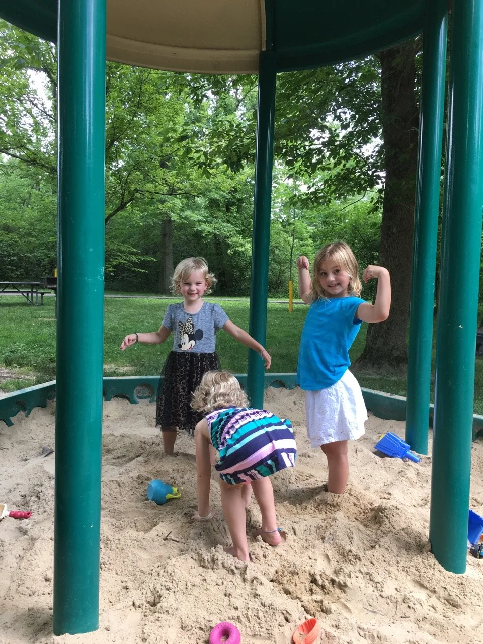 July 3rd fun: Blue Ash Nature Park in the afternoon , and then the Madeira Independence Day parade and fireworks that evening.