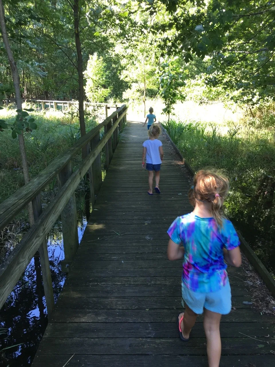 I asked the girls what their favorite part of today was and Josie said that she enjoyed collecting shells, Gwen liked roasting S'mores, and Abby was a big fan of the hot tub.