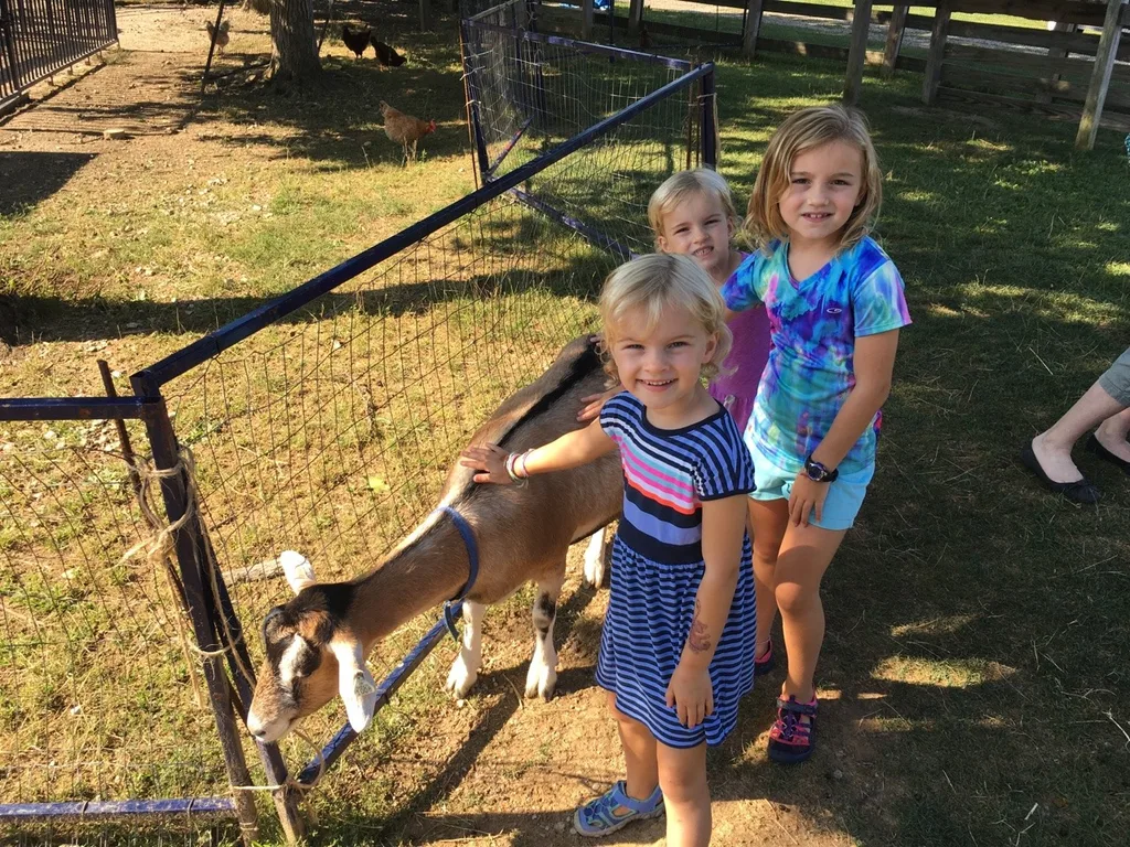 We had a great day with the Koesters at Parky’s Farm!
